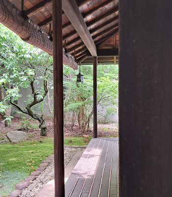 TMU Japanese Summer Program 2026