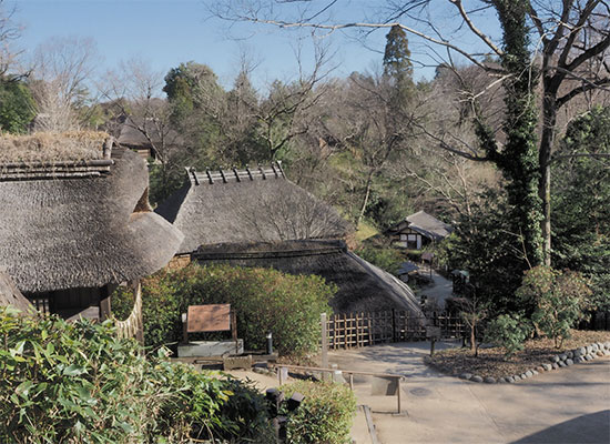 TMU Japanese Winer Program 2026