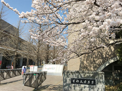 国際副専攻通信